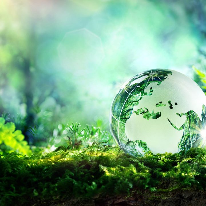 sustainability-istock-473558826